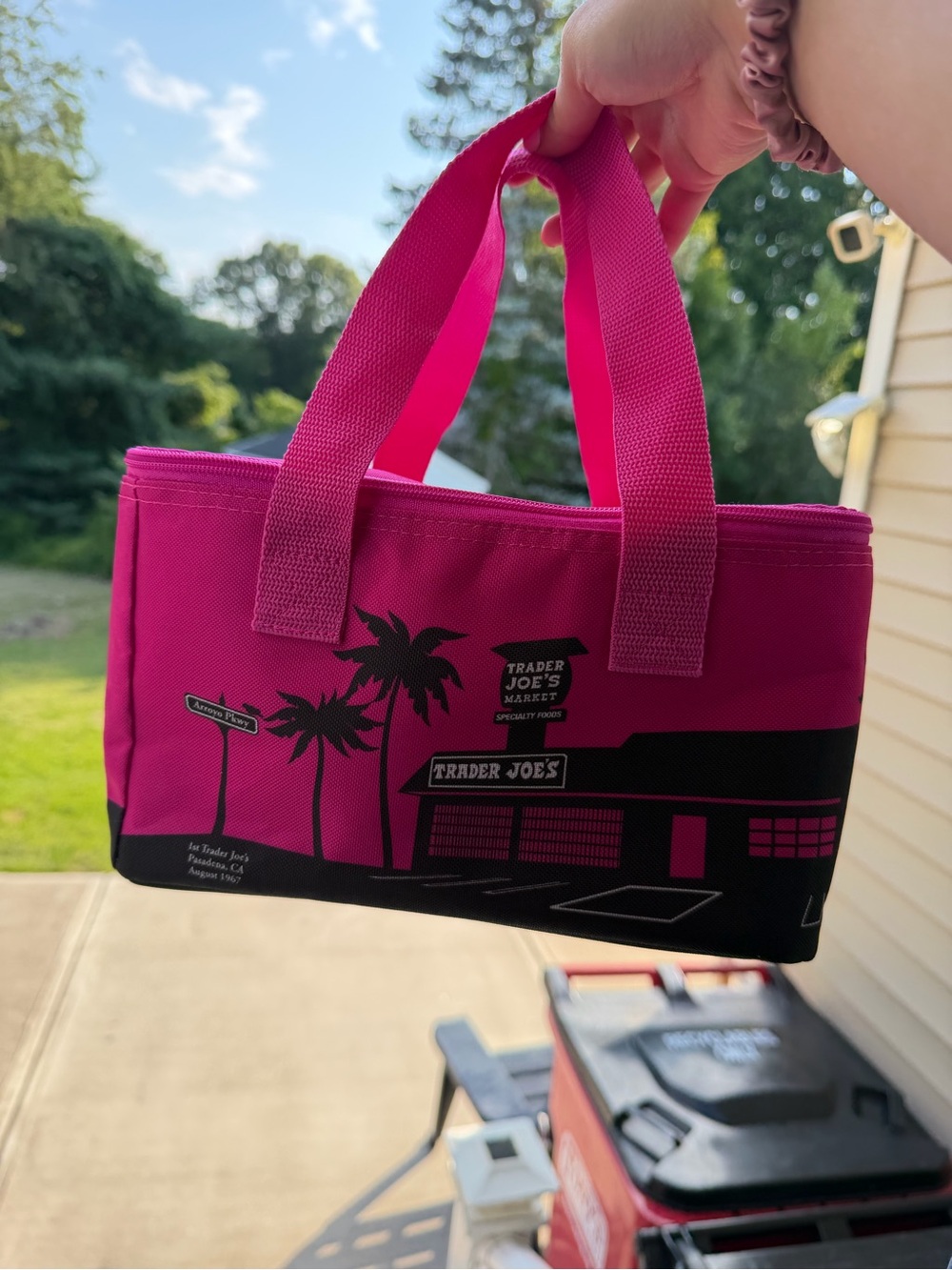 Trader Joes tote